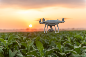 AI drone in agriculture