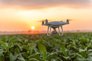 AI drone over a field
